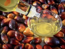 Politik Luar Negeri Sawit